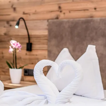 Aparthotel Heidenberger Delle Scuole 3*